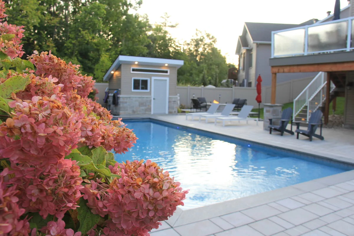 Pool, hydrangeas and modern pool house from the lawn — Astrolabe archive photograph IMG_6922