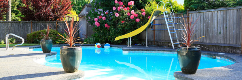 Inground pool with a slide and plants along the side.