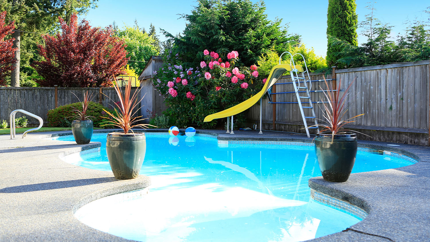 Inground pool with a slide and plants along the side.